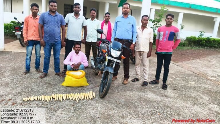 रायपुर : बांस करील के अवैध परिवहन पर कार्रवाई आरोपी को किया गिरफ्तार