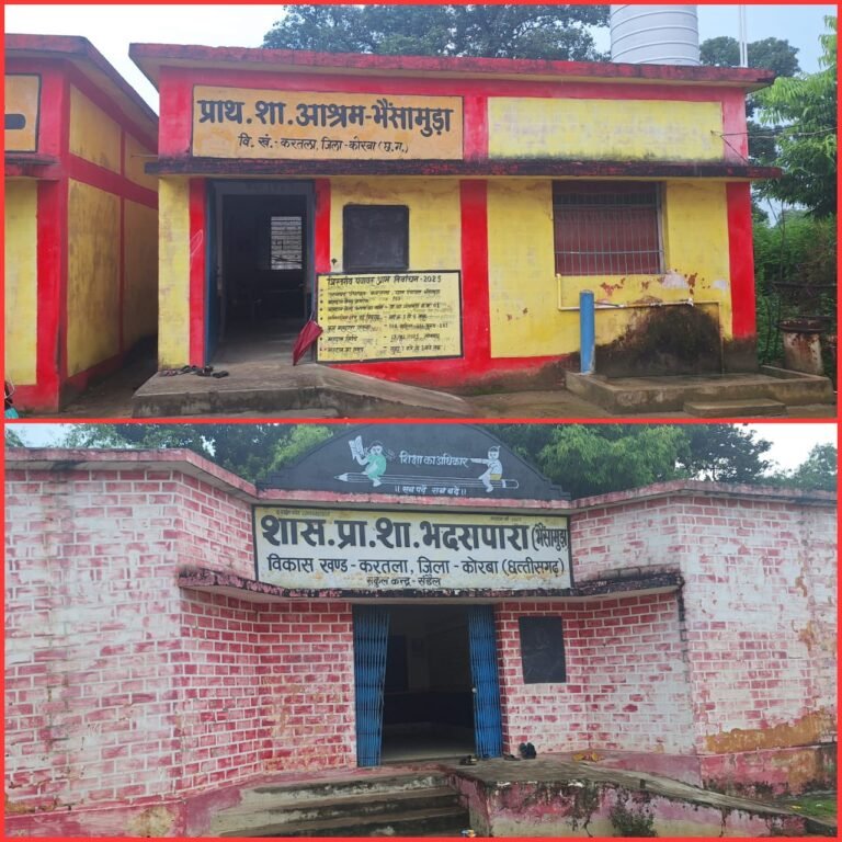 KORBA:-एकल शिक्षकीय विद्यालय भैंसामुड़ा में नियुक्त हुई शिक्षिकायुक्ति युक्तकरण से अध्यापन व्यवस्था हुई बेहतर