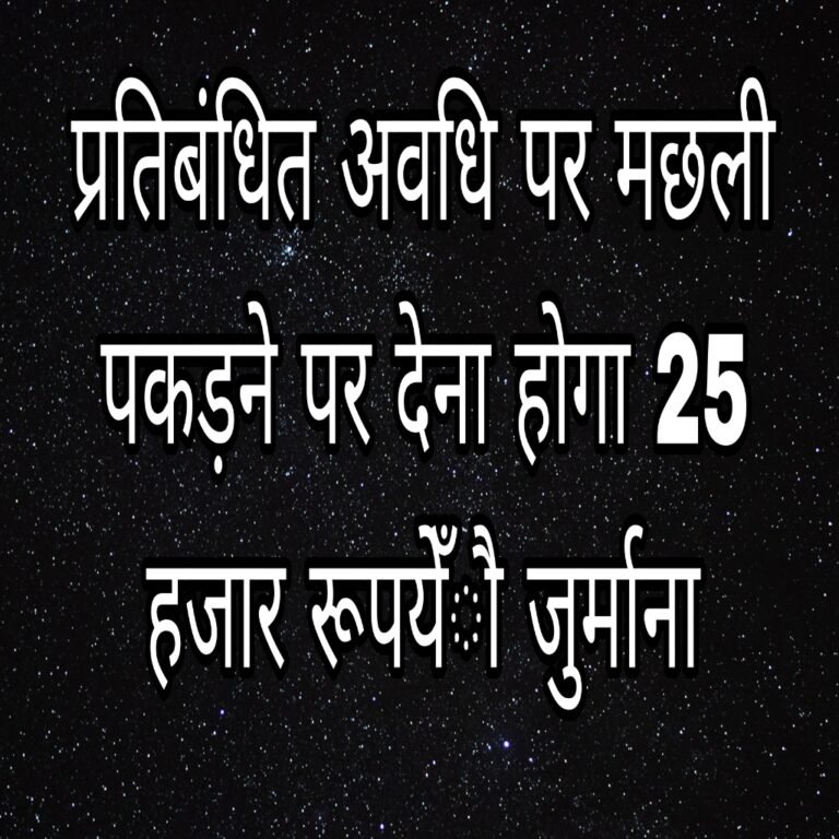 KORßA:-मछलियों के संरक्षण हेतु 15 अगस्त तक बंद ऋतु घोषितमत्स्य आखेट पर रहेगा प्रतिबंध,