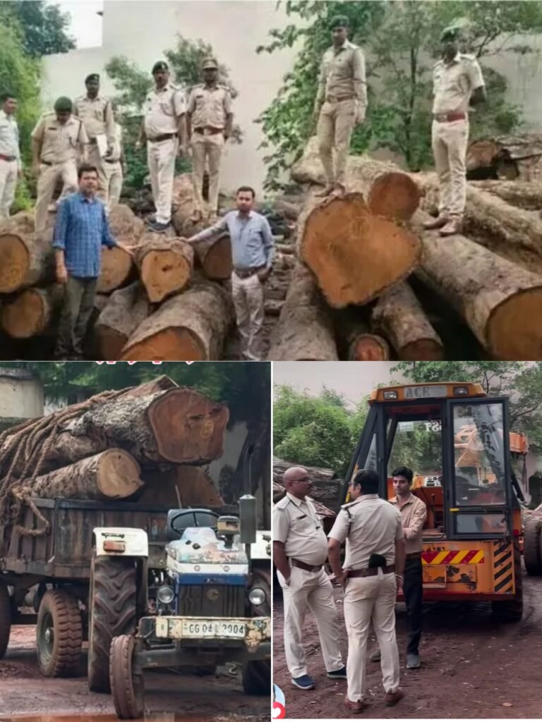 KORBA:-लकड़ी चोरी का खुलासा: पेड़ काटकर अभनपुर भेजी गई लकड़ी, आरा मिल सील, एफआईआर दर्ज