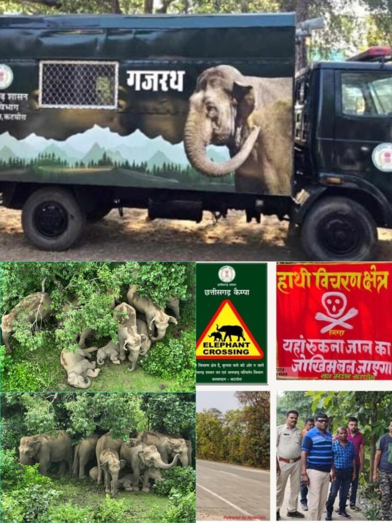 KORBA:-कोरबा का मानव-हाथी प्रबंधन मॉडलः तकनीक, जनभागीदारी और संवेदनशील प्रशासन से बन रही नई मिसाल