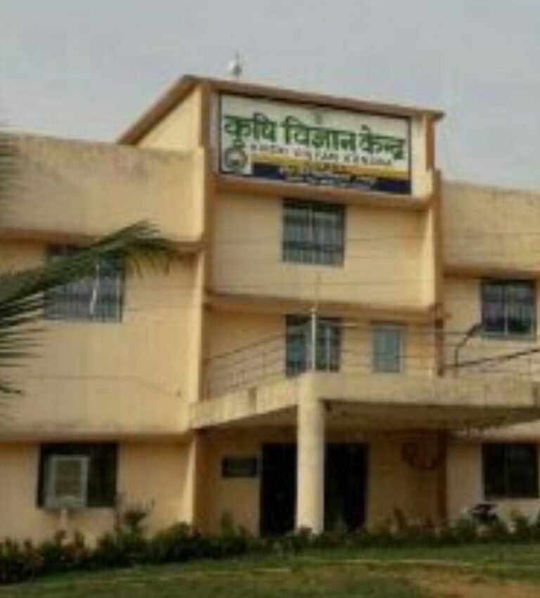 KORBA::-समसामयिक सलाह:…..अच्छी वर्षा का लाभ उठाकर खरीफ फसलों के कृषि कार्य समय पर पूर्ण करें