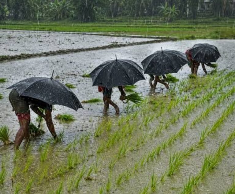 KORBA:-381.8 मिलीमीटर औसत वर्षा दर्ज…..