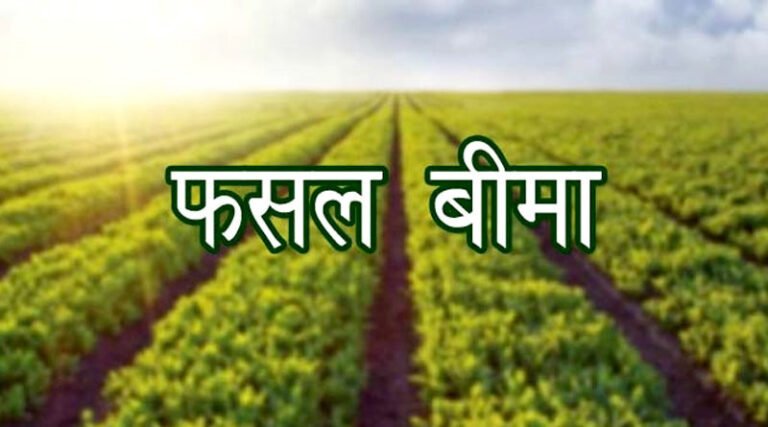 KORBA:-प्रधानमंत्री फसल बीमा योजनाजिले के अऋणी किसान 31 जुलाई तक करा सकते हैं फसल बीमा