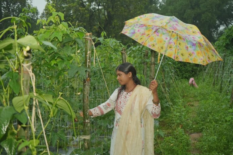 KORßA:-विष्णु भैया के साथ से बहनों के सपनों को मिली नई उड़ान…..मेहनत की बाड़ी से समृद्धि की राह, श्रीमती अंजना भगत बनीं लखपति दीदी