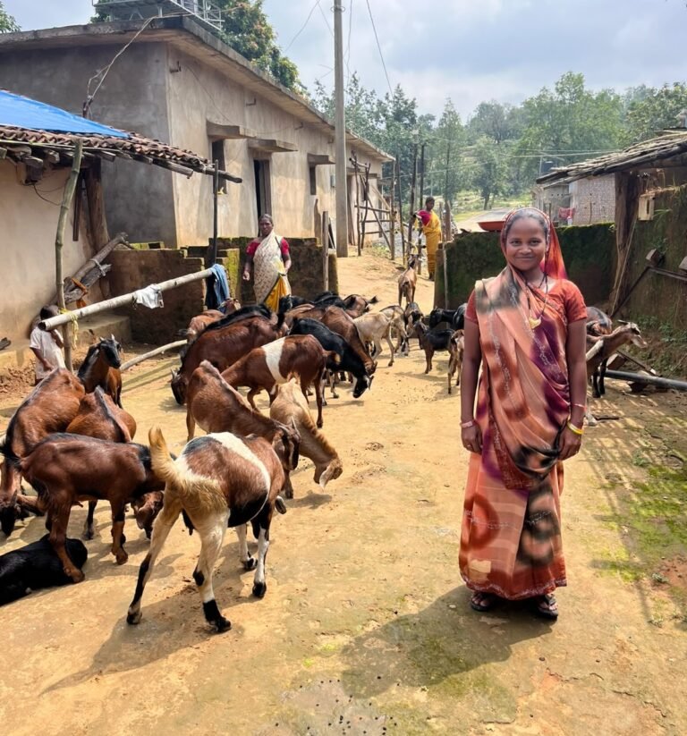 KORßA:-10 बकरियों से शुरू हुआ सफर, आज 40 से अधिक बकरियों की मालकिन हैं प्रमिला सिंह