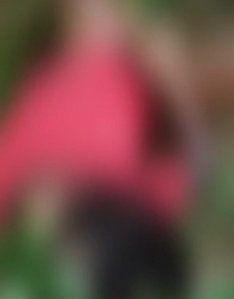 कोरबा में दिल दहलाने वाली वारदात: राशन लेने निकली 7 साल की बच्ची 3 दिन बाद झाड़ियों में मृत मिला शव, जांच में जुटी पुलिस